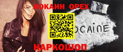 гашик Малгобек